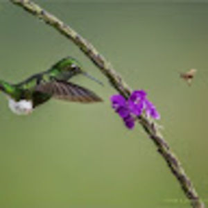 Meet your Posher, Lorna